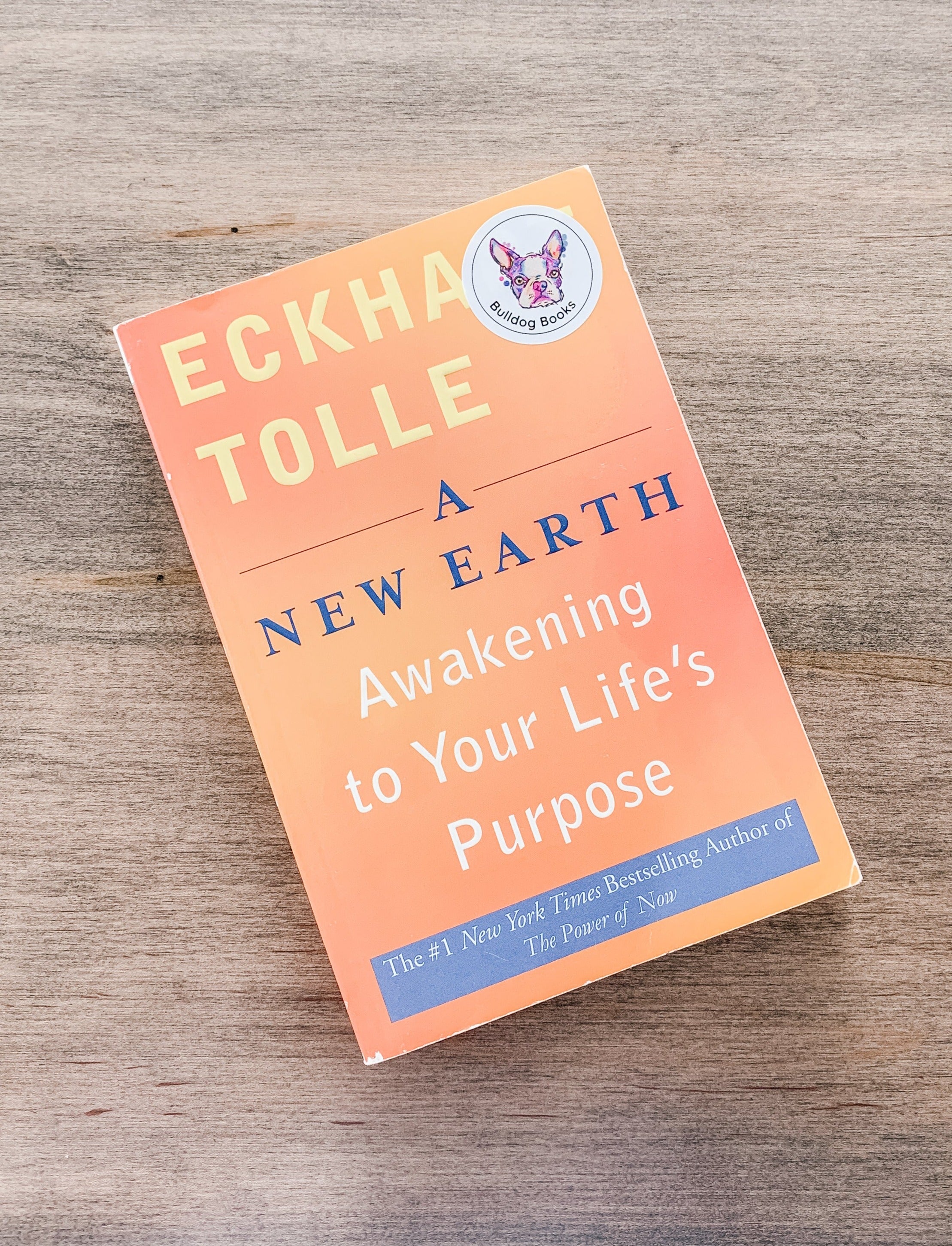 A New Earth by Eckhart Tolle