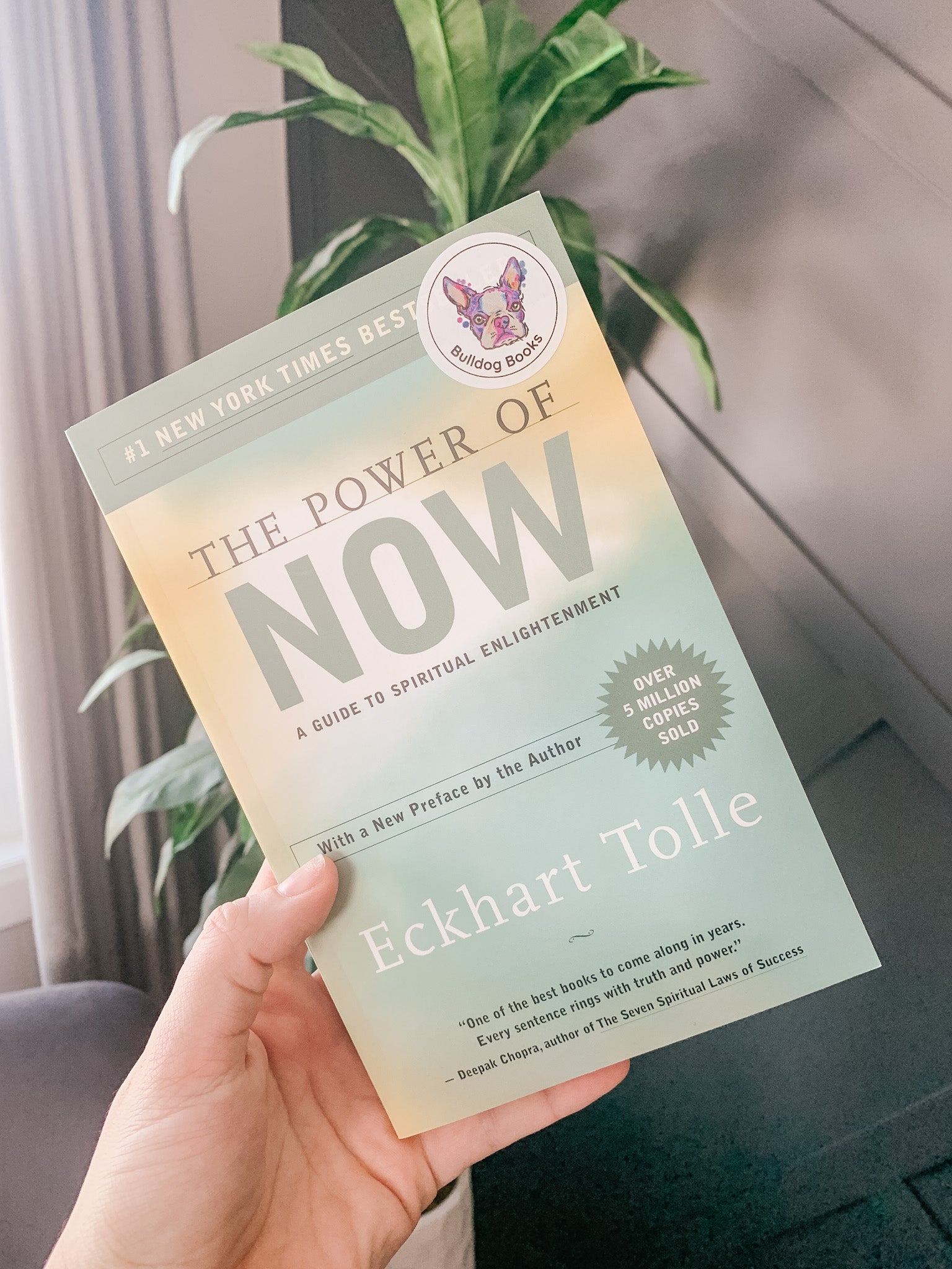 The Power of Now by Eckhart Tolle – Bulldog Books