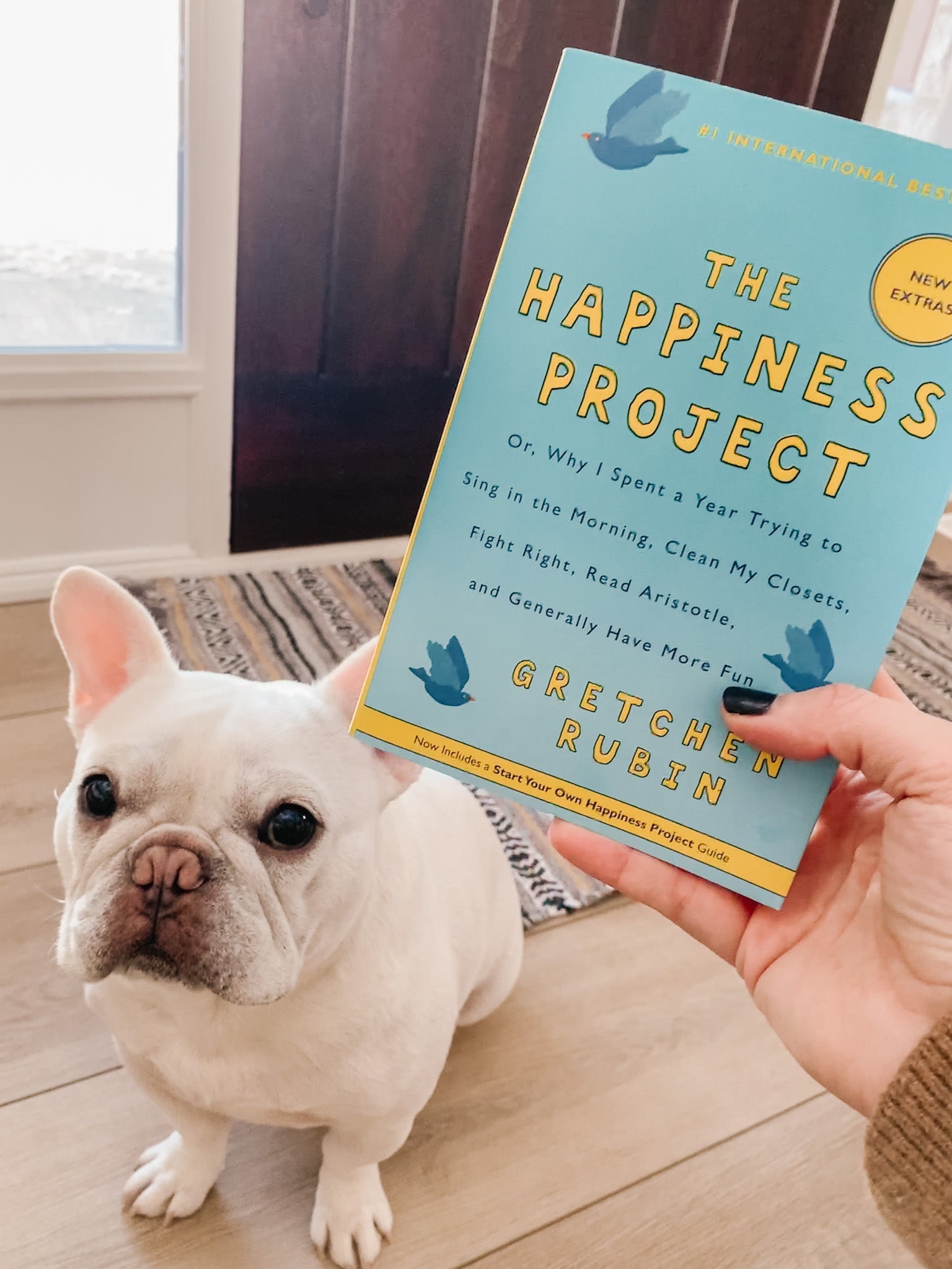 The Happiness Project by Gretchen Rubin